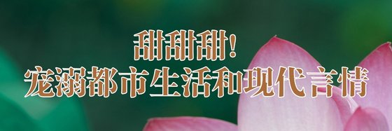 齁甜齁甜！宠溺都市生活和现代言情